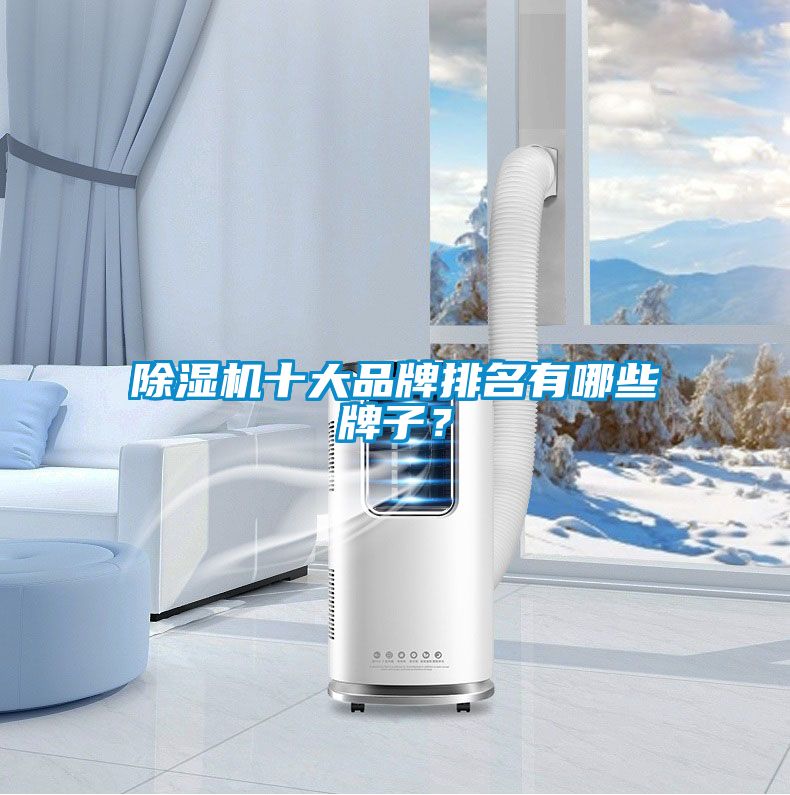 除濕機十大品牌排名有哪些牌子？