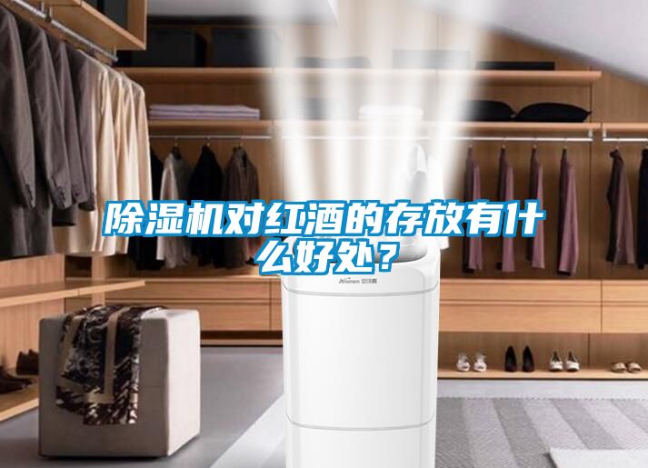 除濕機(jī)對紅酒的存放有什么好處？