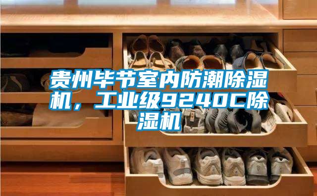 貴州畢節室內防潮除濕機，工業級9240C除濕機