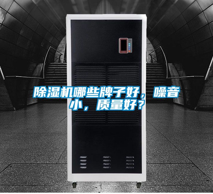 除濕機(jī)哪些牌子好，噪音小，質(zhì)量好？
