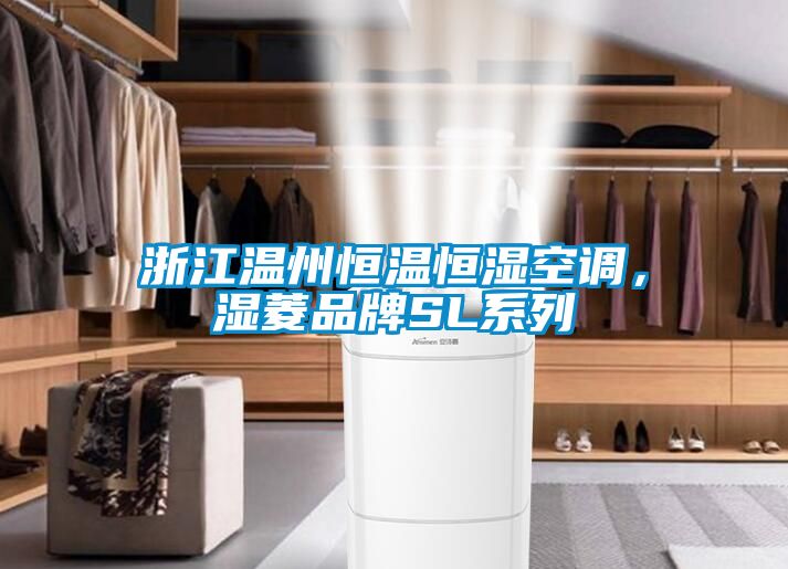 浙江溫州恒溫恒濕空調(diào)，濕菱品牌SL系列
