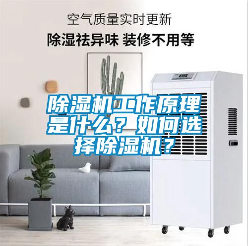 除濕機工作原理是什么？如何選擇除濕機？