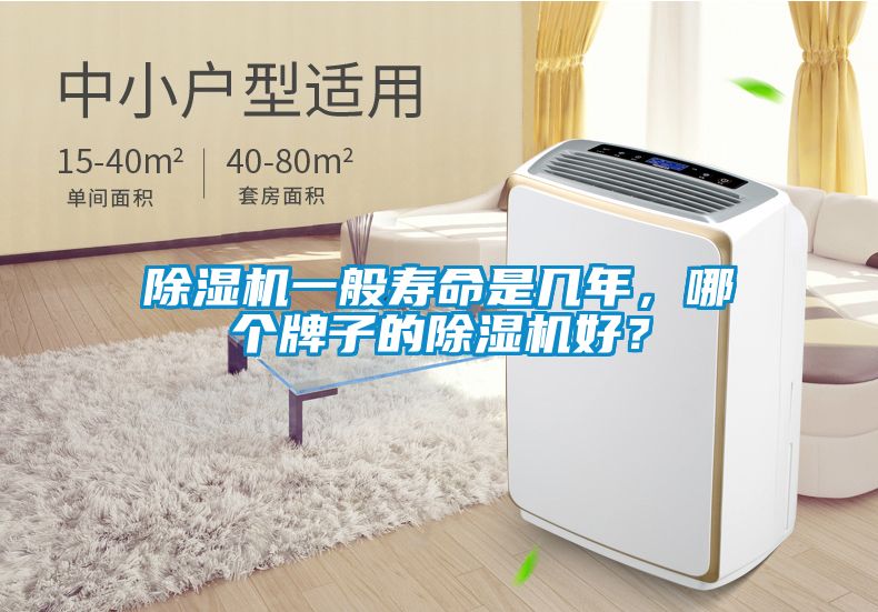 除濕機(jī)一般壽命是幾年，哪個(gè)牌子的除濕機(jī)好？