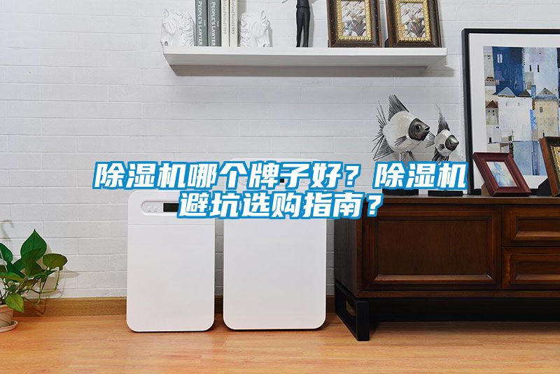 除濕機(jī)哪個(gè)牌子好？除濕機(jī)避坑選購(gòu)指南？