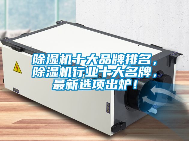 除濕機十大品牌排名，除濕機行業十大名牌，最新選項出爐！