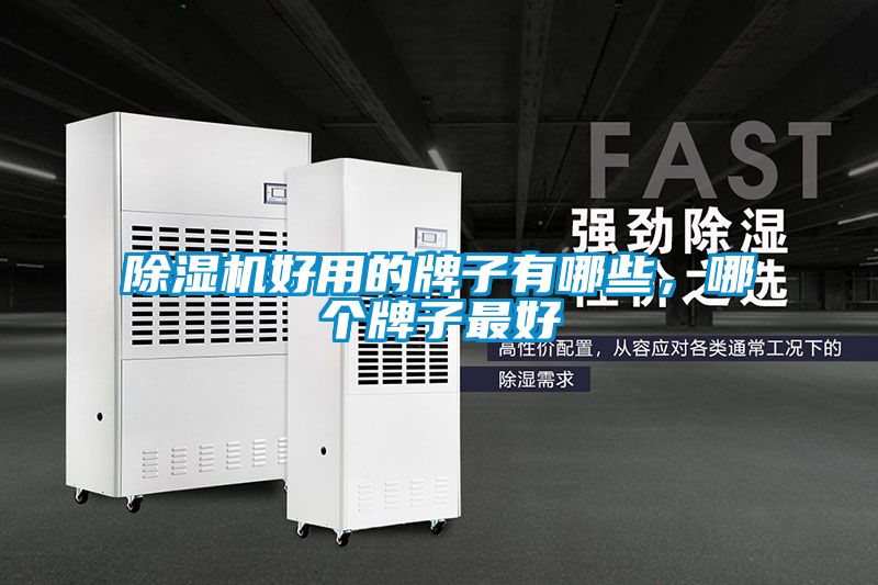 除濕機好用的牌子有哪些，哪個牌子最好