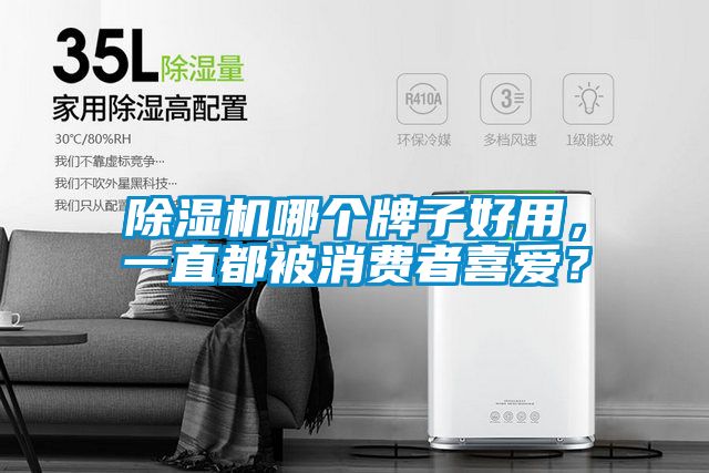 除濕機(jī)哪個(gè)牌子好用，一直都被消費(fèi)者喜愛(ài)？