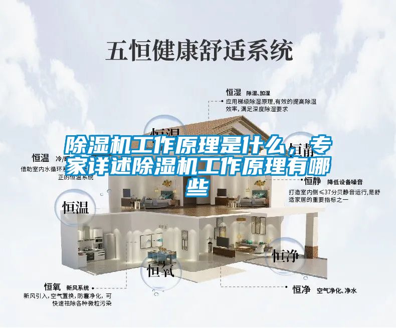 除濕機工作原理是什么，專家詳述除濕機工作原理有哪些
