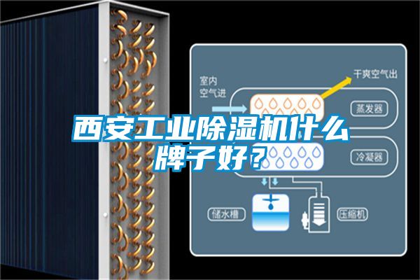 西安工業除濕機什么牌子好？