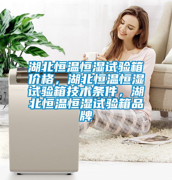 湖北恒溫恒濕試驗(yàn)箱價(jià)格，湖北恒溫恒濕試驗(yàn)箱技術(shù)條件，湖北恒溫恒濕試驗(yàn)箱品牌