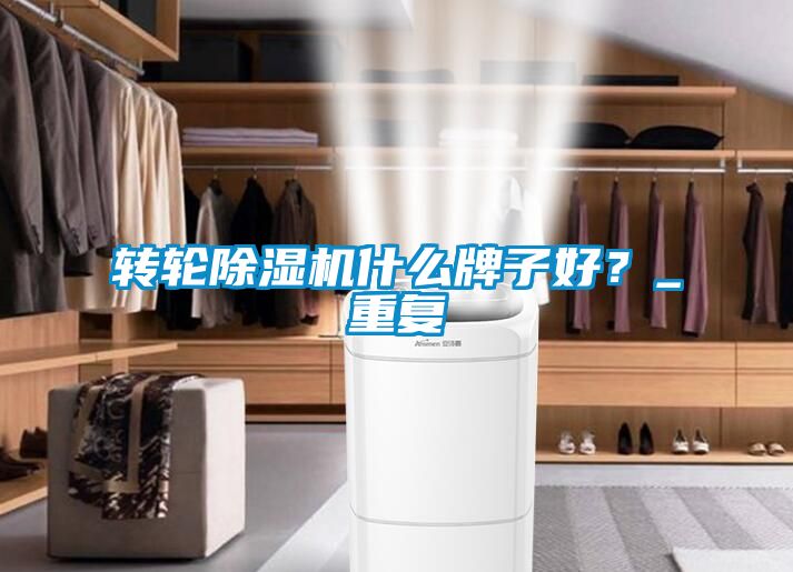 轉(zhuǎn)輪除濕機(jī)什么牌子好？_重復(fù)