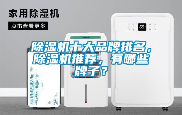 除濕機十大品牌排名，除濕機推薦，有哪些牌子？