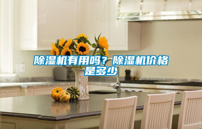 除濕機有用嗎？除濕機價格是多少
