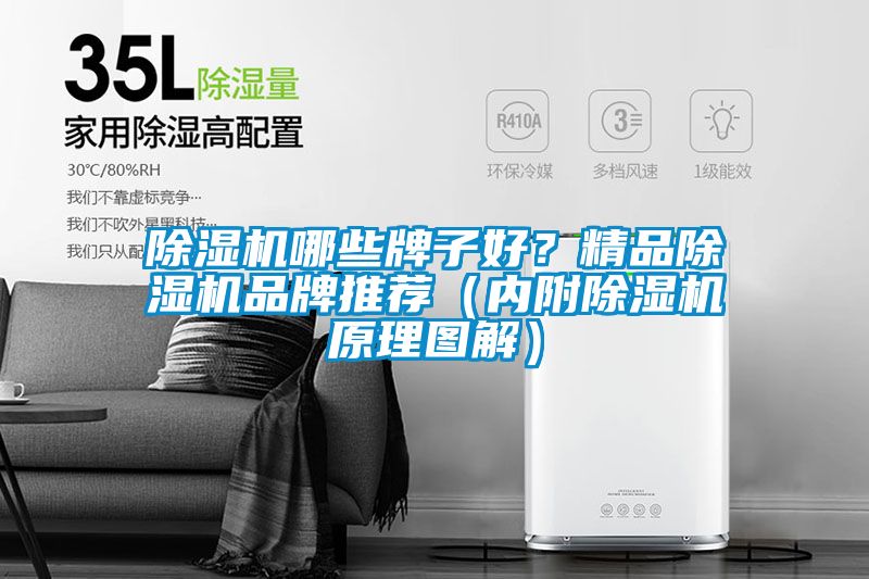 除濕機哪些牌子好？精品除濕機品牌推薦（內附除濕機原理圖解）