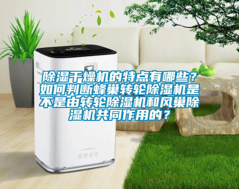 除濕干燥機的特點有哪些？如何判斷蜂巢轉輪除濕機是不是由轉輪除濕機和風巢除濕機共同作用的？