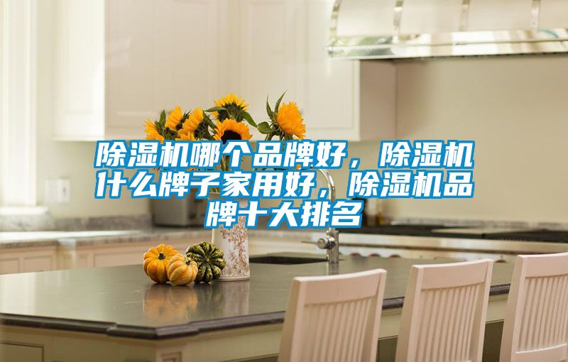 除濕機(jī)哪個(gè)品牌好，除濕機(jī)什么牌子家用好，除濕機(jī)品牌十大排名