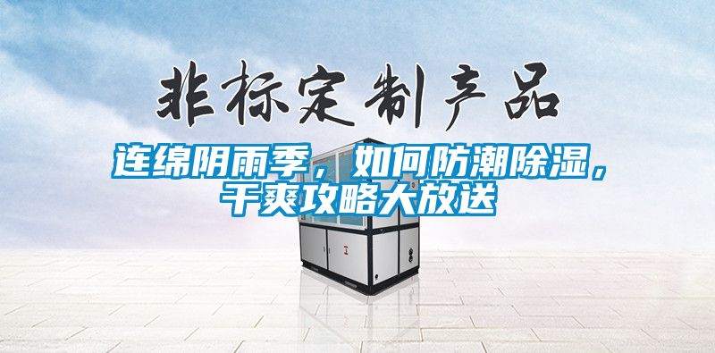 連綿陰雨季，如何防潮除濕，干爽攻略大放送