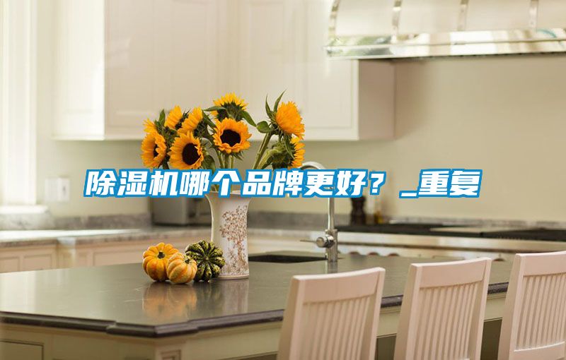除濕機(jī)哪個(gè)品牌更好？_重復(fù)