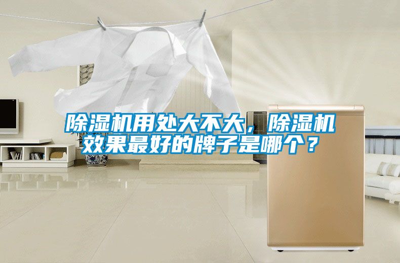 除濕機用處大不大，除濕機效果最好的牌子是哪個？