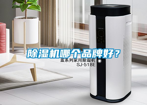 除濕機(jī)哪個(gè)品牌好？