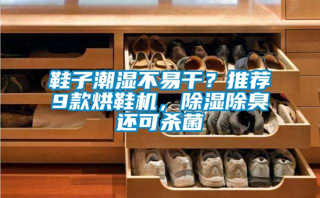 鞋子潮濕不易干？推薦9款烘鞋機，除濕除臭還可殺菌