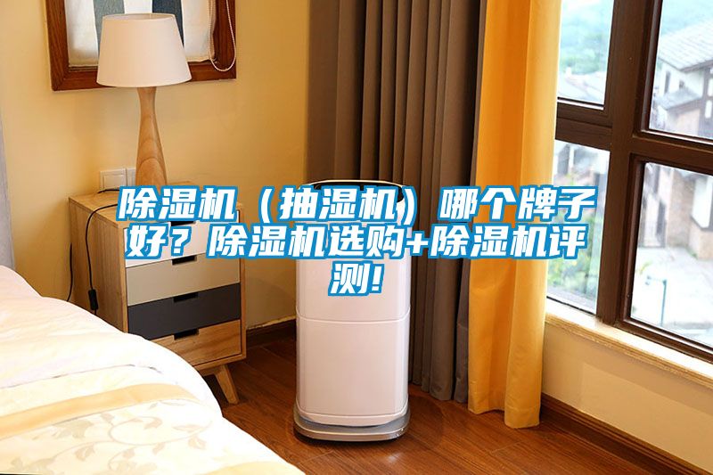 除濕機（抽濕機）哪個牌子好？除濕機選購+除濕機評測!