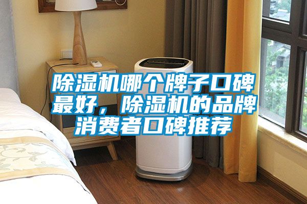 除濕機(jī)哪個(gè)牌子口碑最好，除濕機(jī)的品牌消費(fèi)者口碑推薦