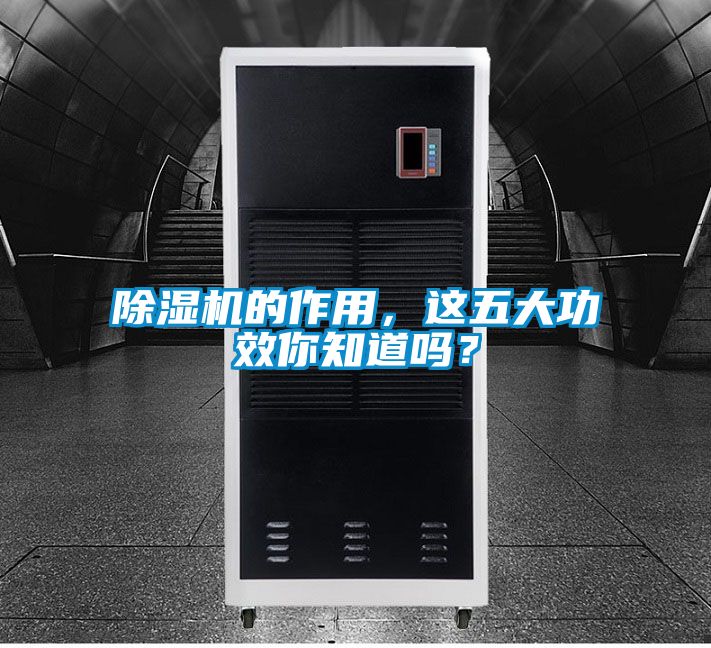 除濕機的作用，這五大功效你知道嗎？