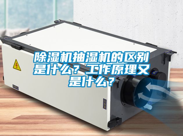 除濕機(jī)抽濕機(jī)的區(qū)別是什么？工作原理又是什么？