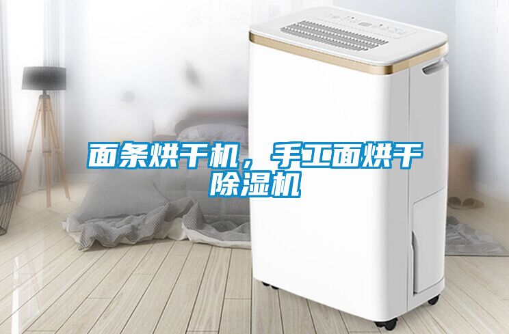 面條烘干機，手工面烘干除濕機