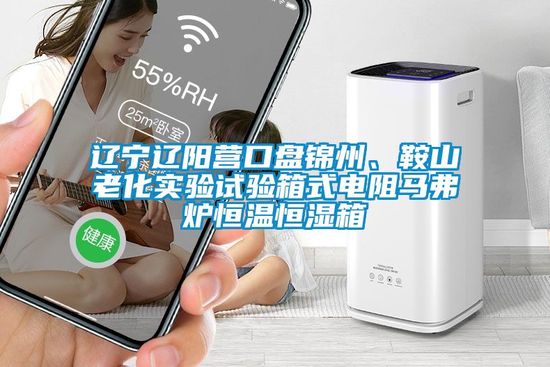 遼寧遼陽營口盤錦州、鞍山老化實驗試驗箱式電阻馬弗爐恒溫恒濕箱