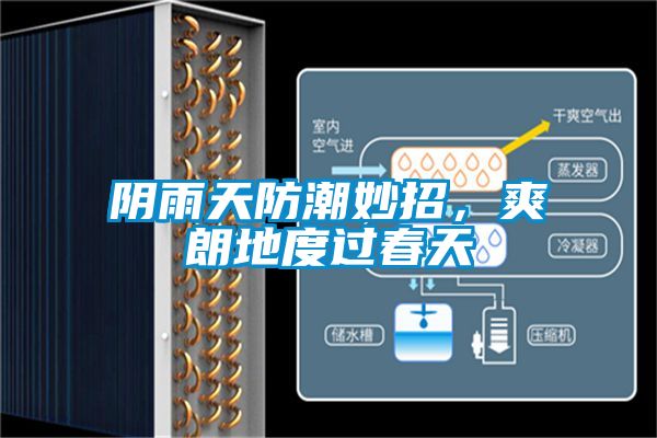 陰雨天防潮妙招，爽朗地度過春天