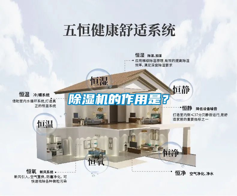 除濕機的作用是？
