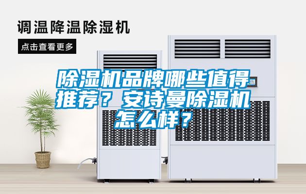 除濕機品牌哪些值得推薦？安詩曼除濕機怎么樣？