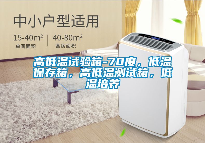 高低溫試驗箱-70度，低溫保存箱，高低溫測試箱，低溫培養