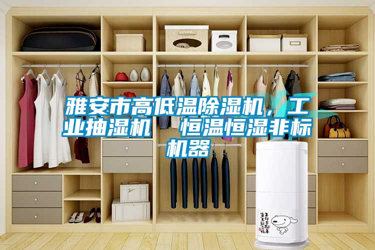 雅安市高低溫除濕機(jī)，工業(yè)抽濕機(jī)  恒溫恒濕非標(biāo)機(jī)器
