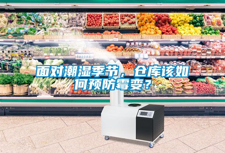面對潮濕季節，倉庫該如何預防霉變？
