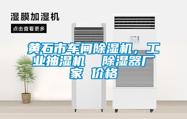 黃石市車間除濕機，工業抽濕機  除濕器廠家 價格