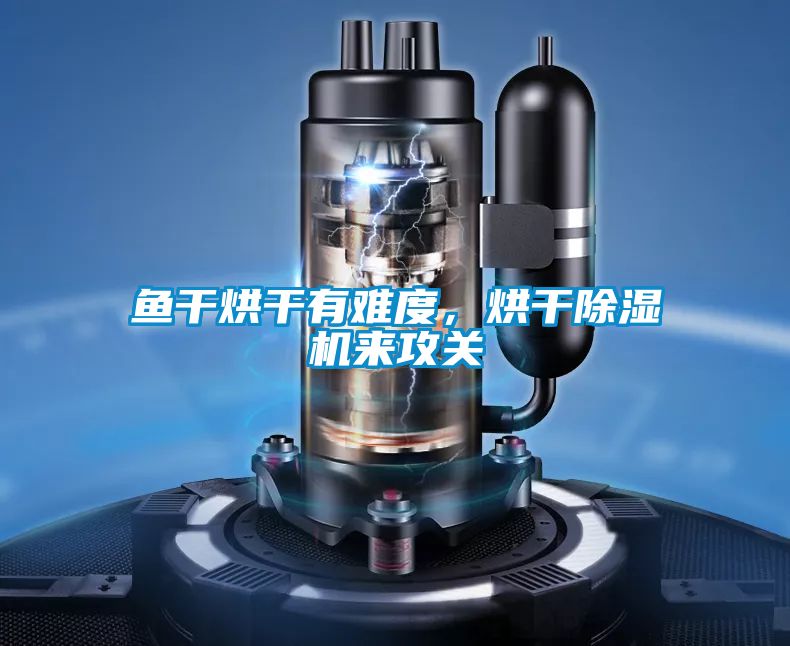 魚干烘干有難度，烘干除濕機來攻關(guān)