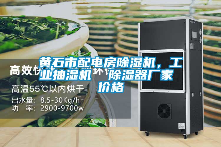 黃石市配電房除濕機，工業抽濕機  除濕器廠家 價格