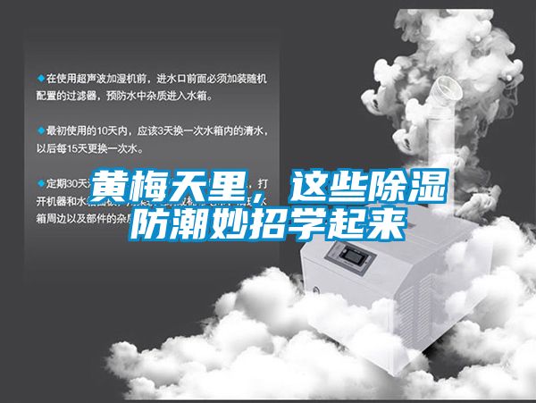 黃梅天里，這些除濕防潮妙招學起來