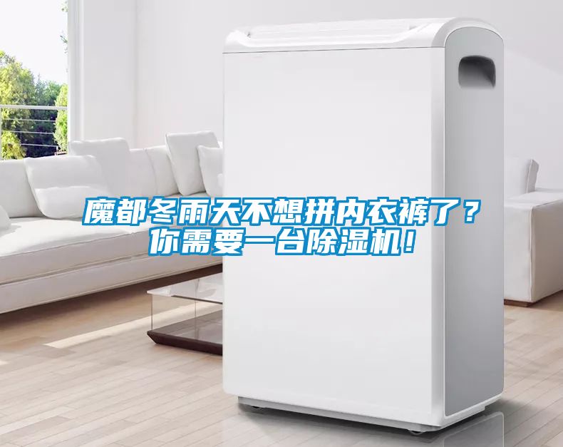 魔都冬雨天不想拼內(nèi)衣褲了？你需要一臺除濕機！